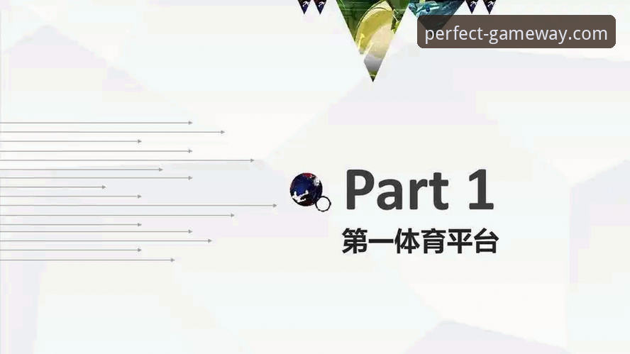 完美体育官网使用技巧全面解析：从入口到注册的高效操作指南